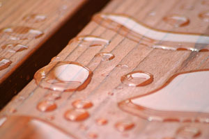 raindrops on a redwood deck